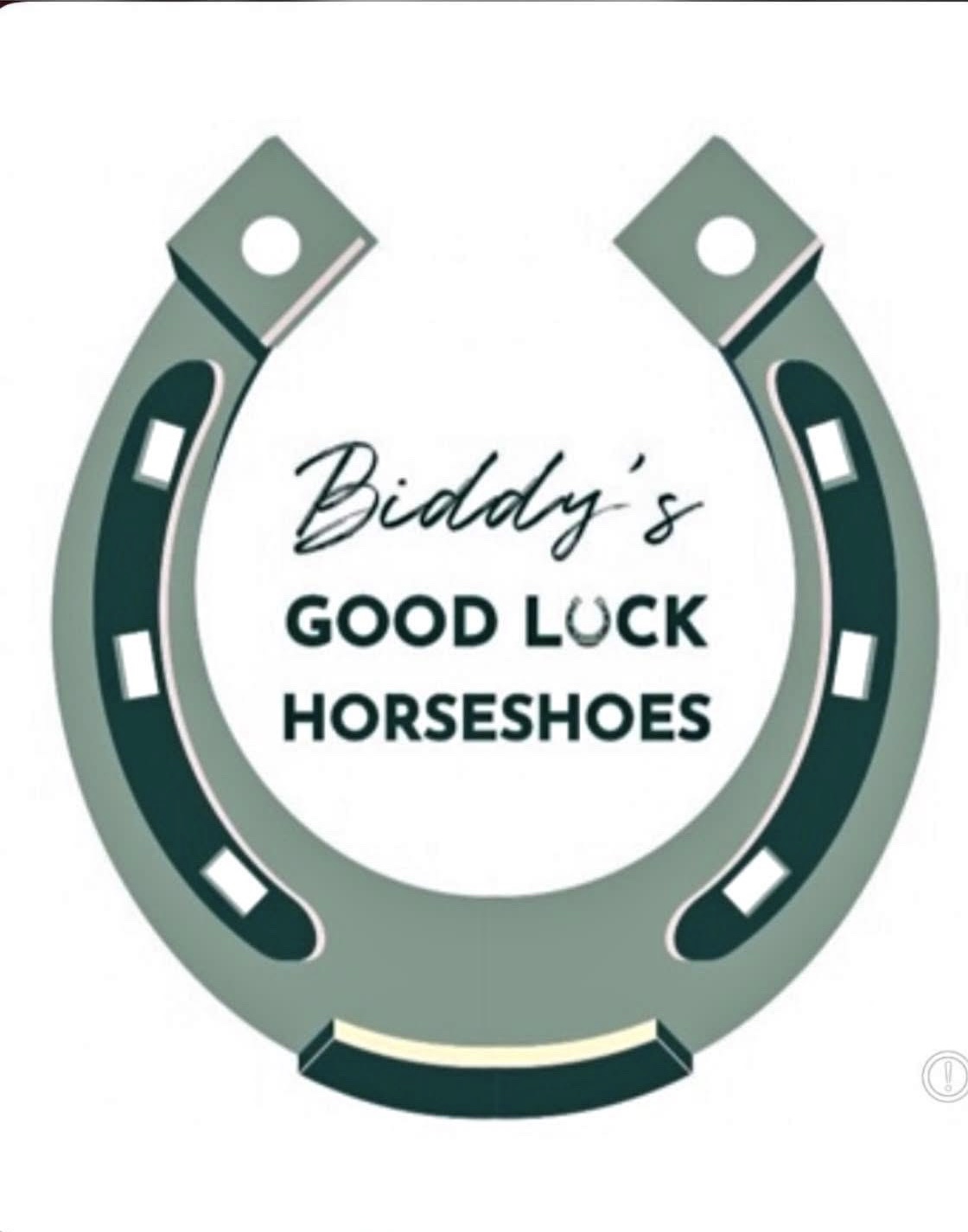Biddys Good Luck Horse Shoes